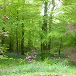 Jock Scar Country Estate