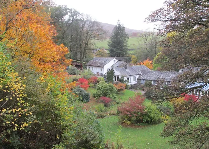 Jock Scar Country Estate *