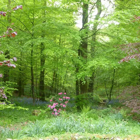 Jock Scar Country Estate